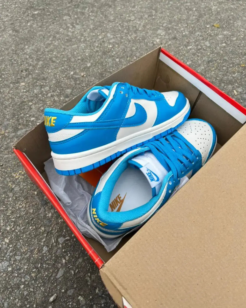 Dunk Low Pro Luxo Azul Celeste Unisex