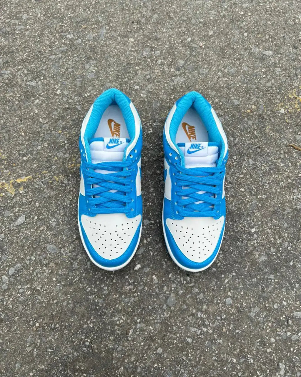 Dunk Low Pro Luxo Azul Celeste Unisex