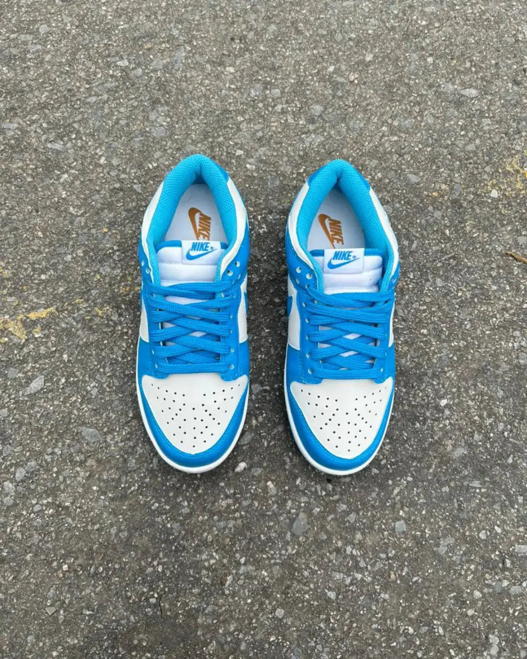 Dunk Low Pro Luxo Azul Celeste Unisex