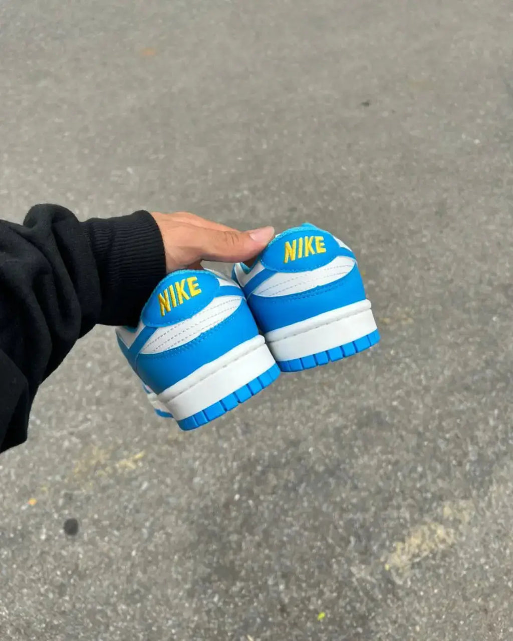 Dunk Low Pro Luxo Azul Celeste Unisex