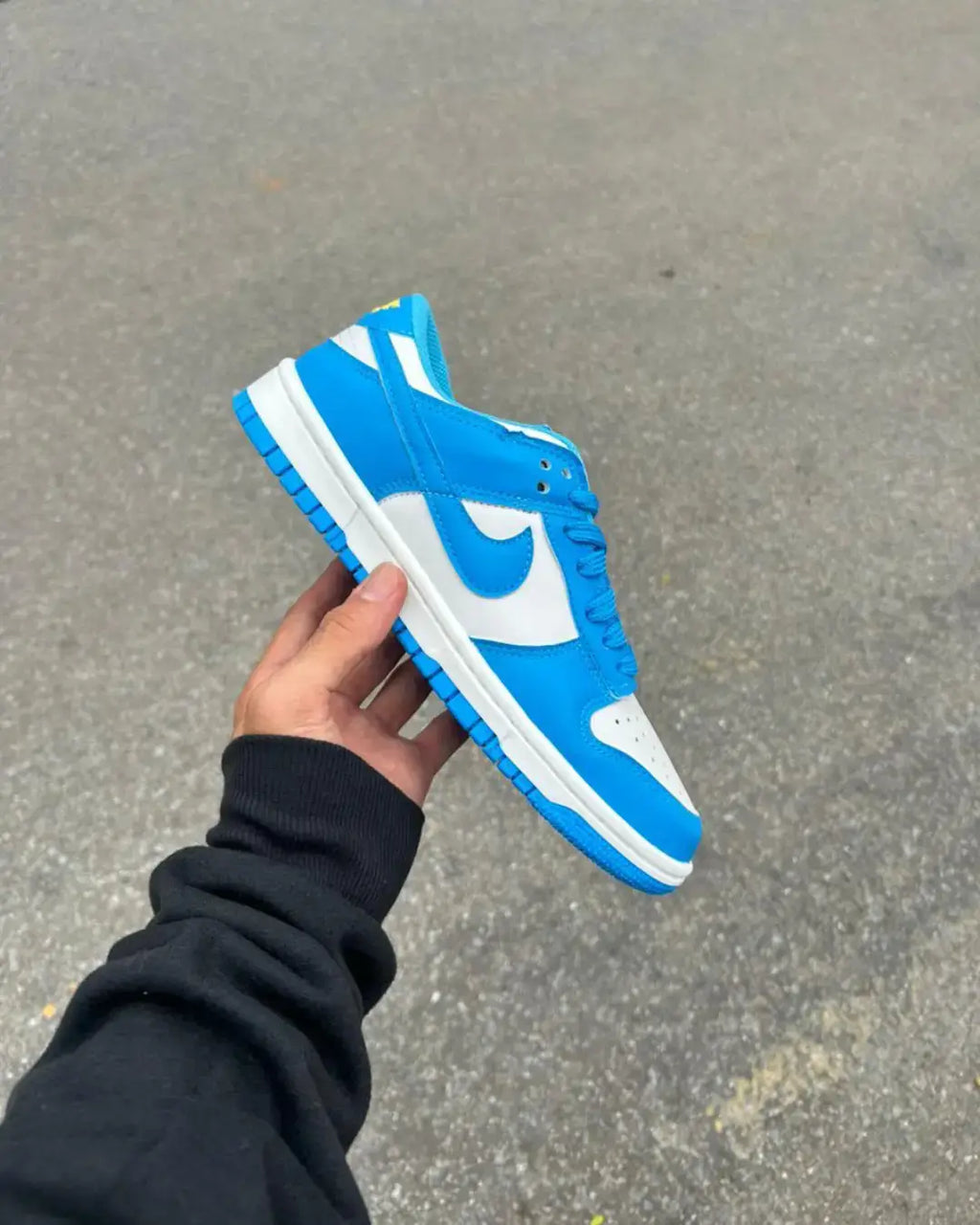 Dunk Low Pro Luxo Azul Celeste Unisex