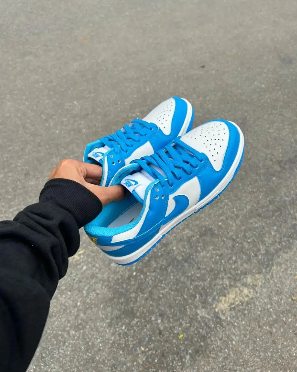 Dunk Low Pro Luxo Azul Celeste Unisex