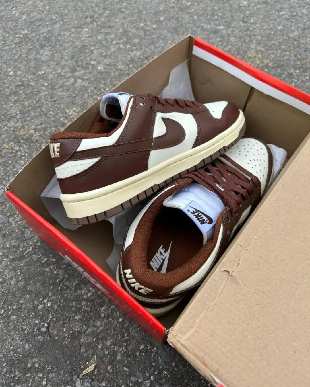 Dunk Low Pro Luxo Chocolate Unisex
