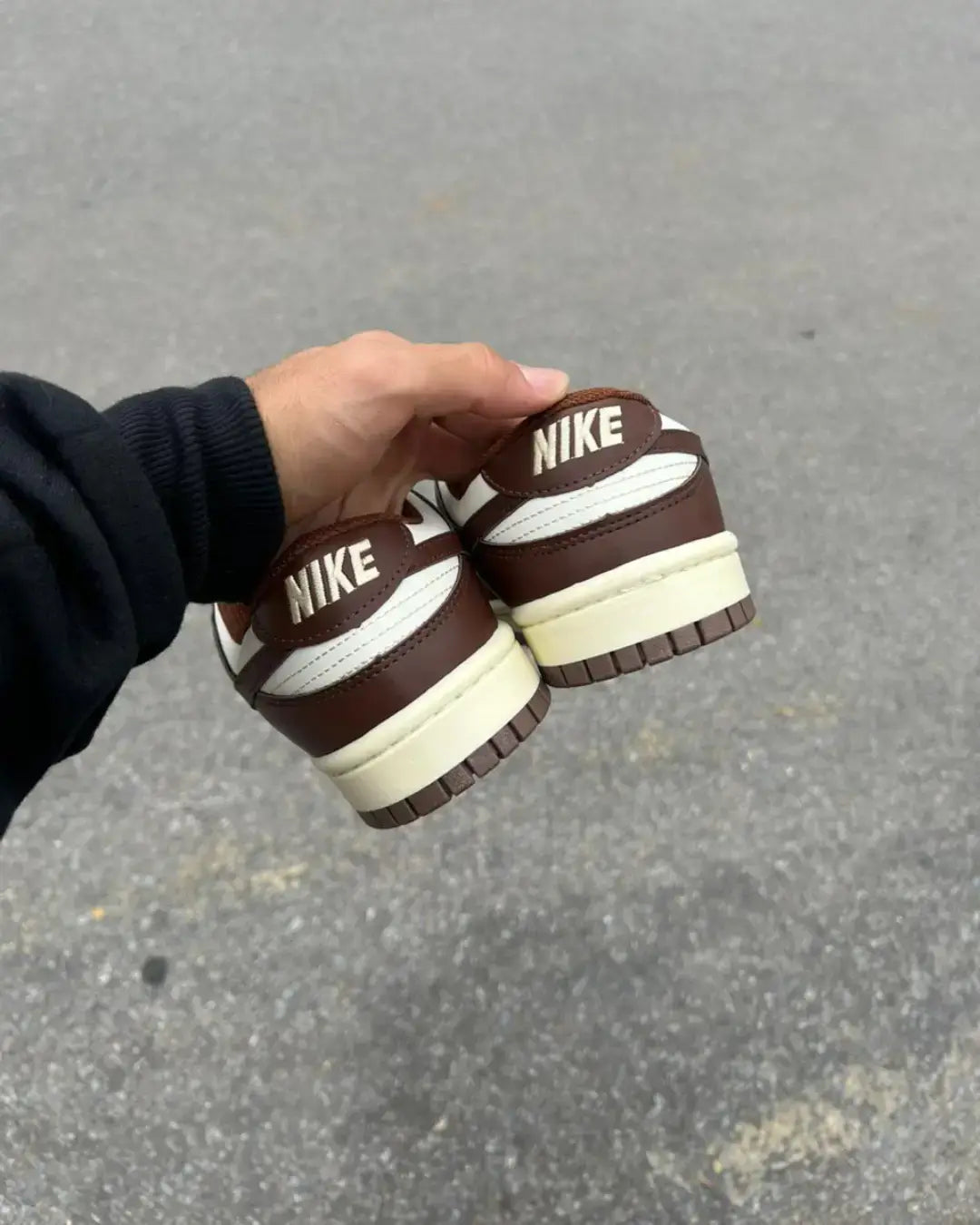 Dunk Low Pro Luxo Chocolate Unisex