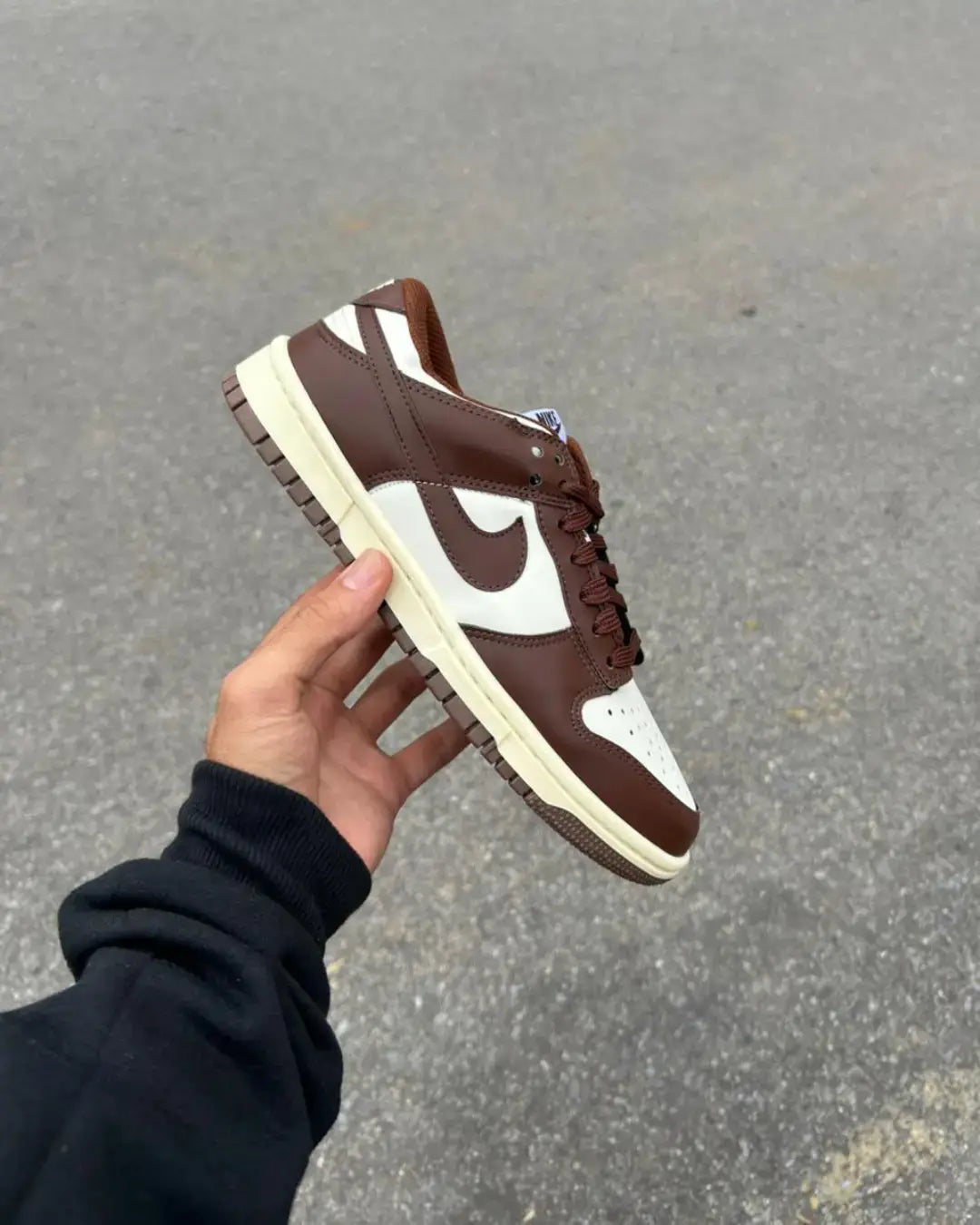 Dunk Low Pro Luxo Chocolate Unisex