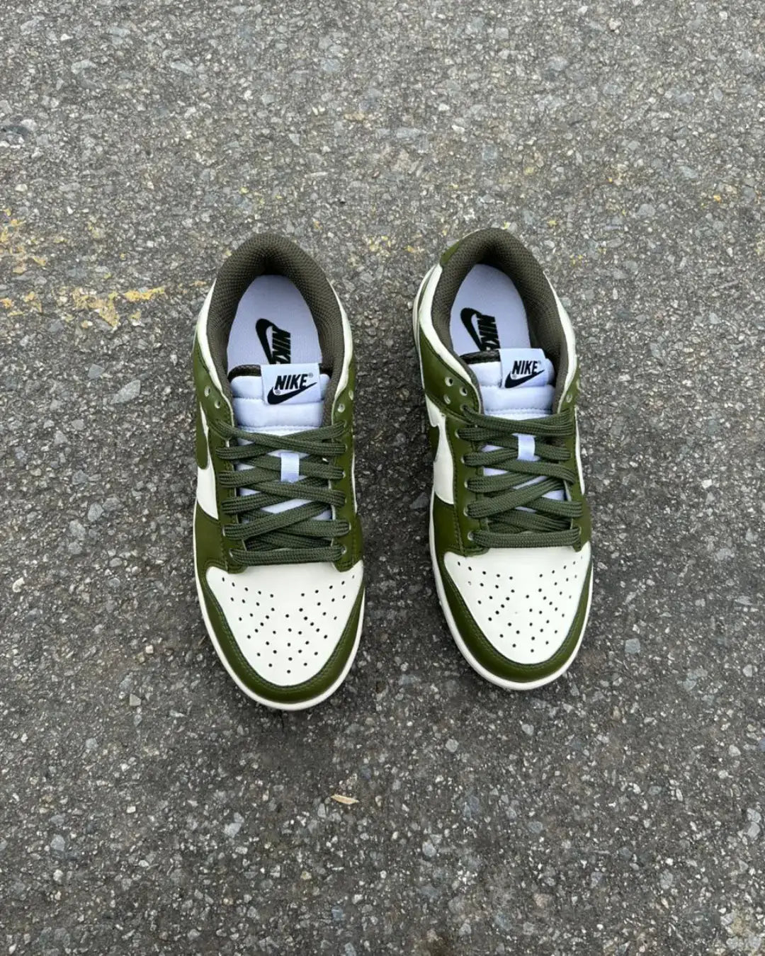 Dunk Low Pro Luxo Verde Musgo Unisex